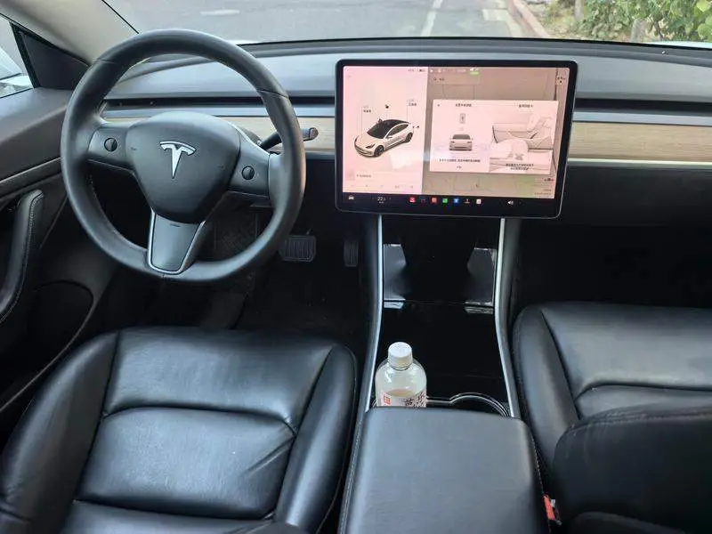 Model 3 2019 Standard Range RWD Upgraded Edition — 9