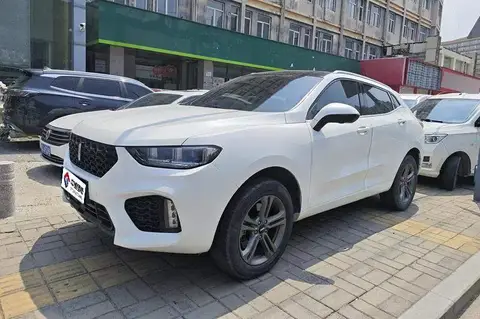 Wei brand VV5 2019 1.5T 2WD Pioneer