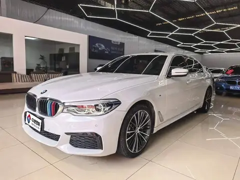 BMW 5 Series 2020 530Li Leading M Sport Package