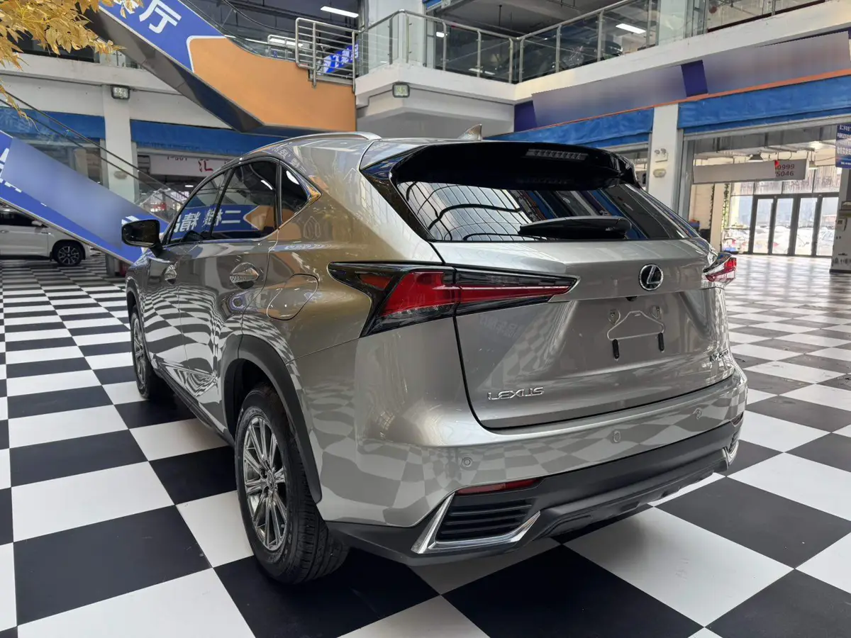 Lexus NX 2020 200 All-wheel Drive Frontier Edition National VI — 6