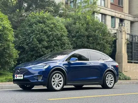 Model X 2020 Performance
