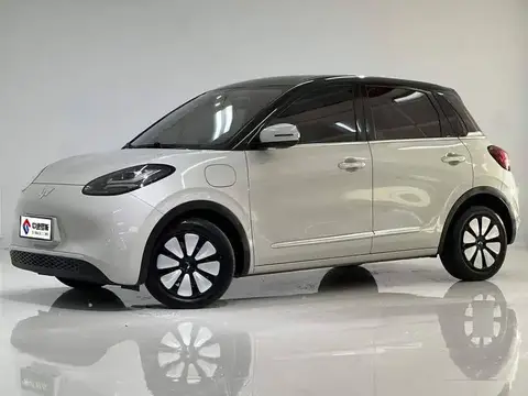 Wuling Bingo 2025 Model 333km Enjoy Edition