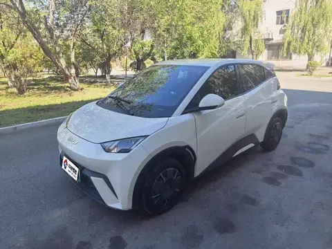 Seagull 2024 Glory Edition 305km Vitality Edition