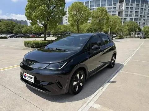 dolphin 2025 Smart Driving Edition 410km Fashion Edition