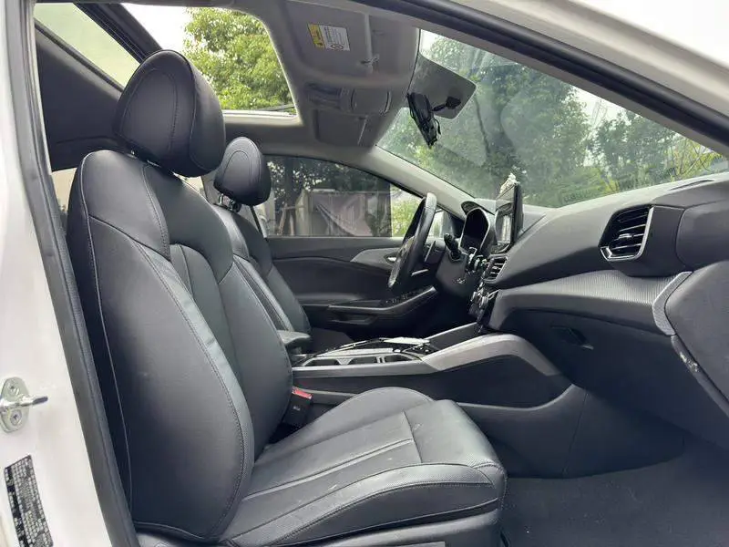 Festa pure electric 2020 GLS Free Travel Edition — 12