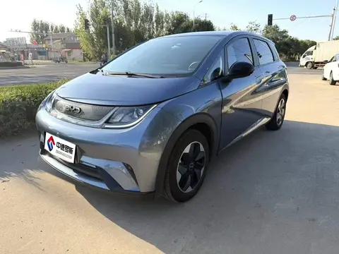 dolphin 2025 Smart Driving Edition 420km Free Edition