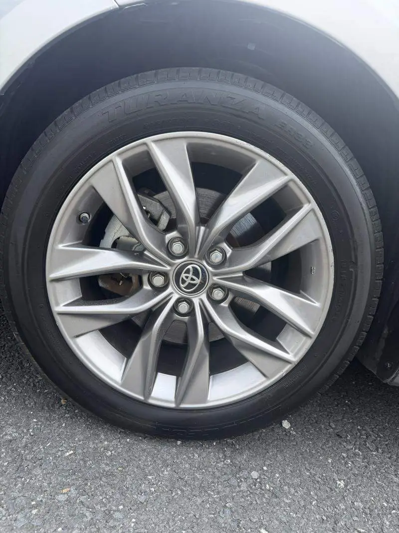 Asian Dragon 2019 Hybrid 2.5L Luxury Edition National VI — 8