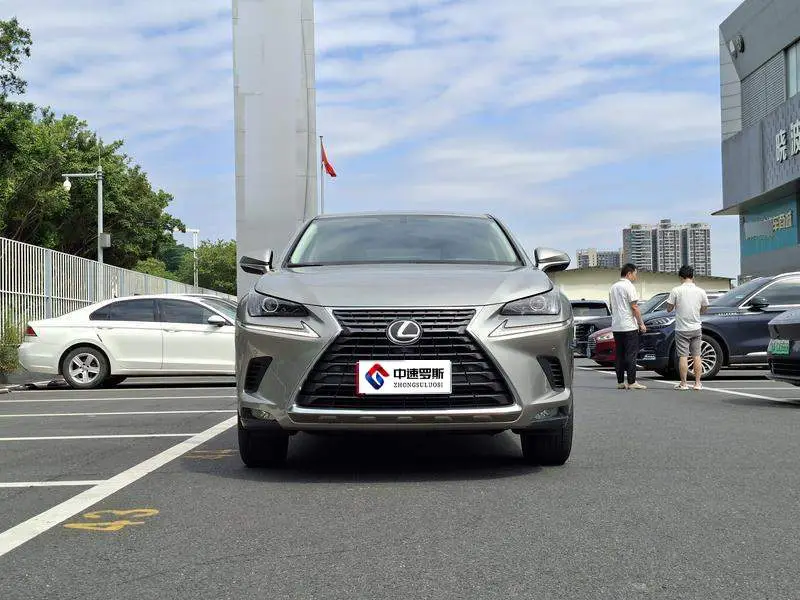 Lexus NX 2020 200 Front-Drive Fengyi Edition National VI — 2