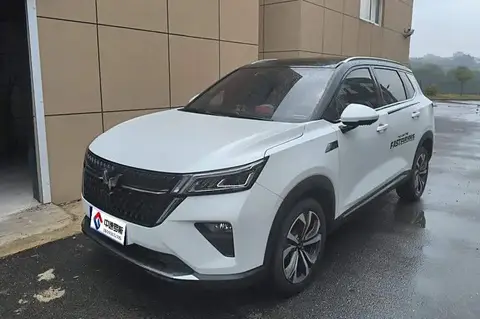 Wuling Xingchen 2022 2.0L DHT Electric Speed Model