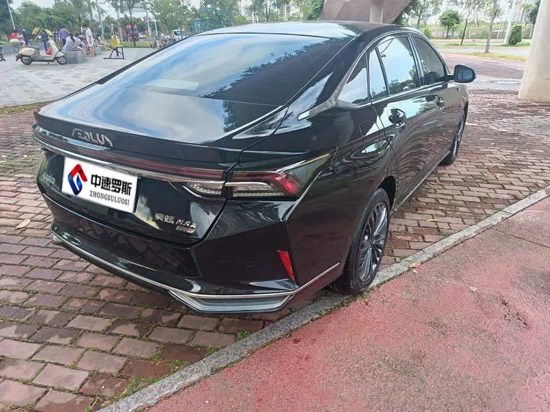 Yixuan MAX 2021 1.5T Super Dad Edition — 5