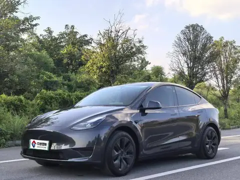Model Y 2024 rear-wheel drive version