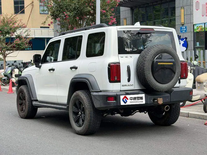 Tank 300 2021 Off-Road Edition 2.0T Conqueror — 4