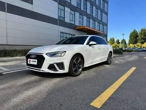 Audi A4L 2020 40 TFSI Luxury Dynamic Edition