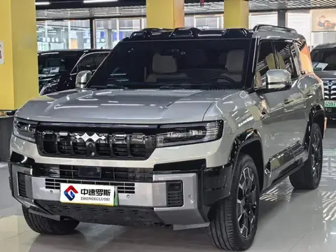Leopard 8