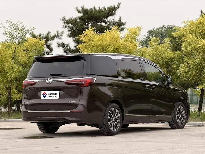Buick GL8 2021 ES Lu Zun 653T Flagship Model — 6