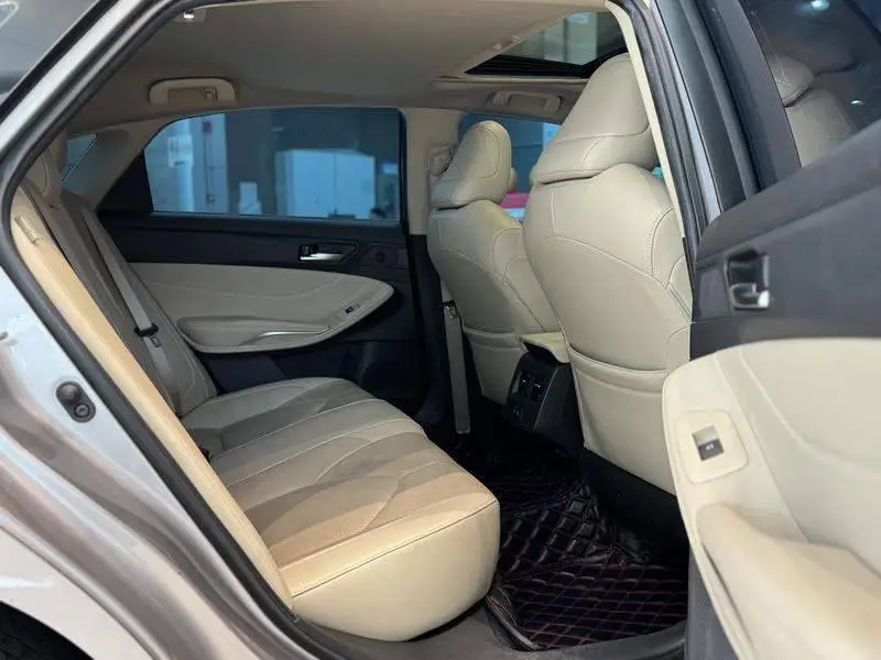 Asian Dragon 2019 2.0L Luxury Edition National VI — 19