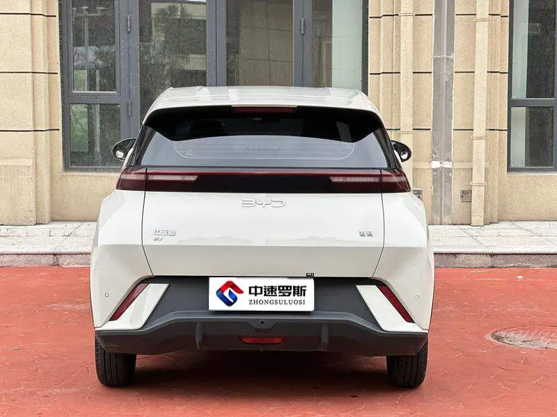 Seagull 2024 Glory Edition 305km Vitality Edition — 5