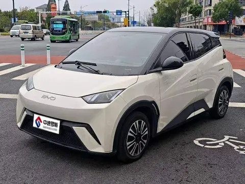 Seagull 2024 Honor Edition 305km Freedom Edition