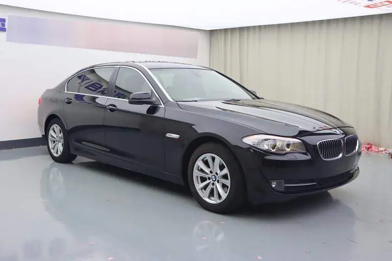 BMW 5 Series 2013 525Li Luxury — 3