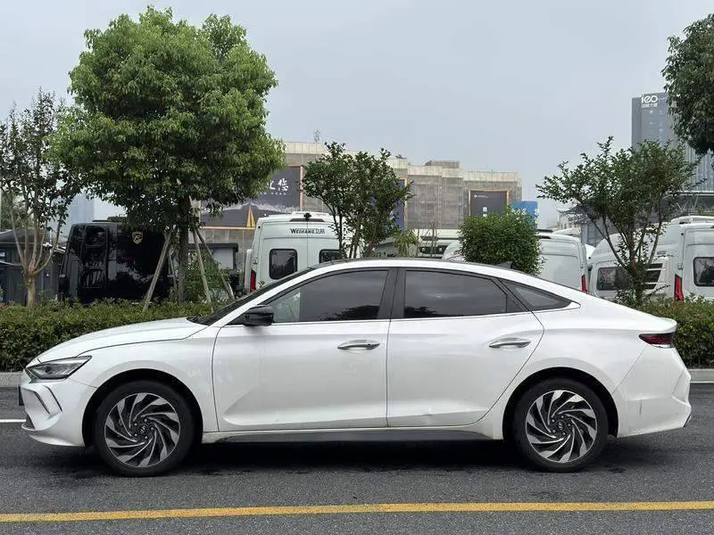Festa pure electric 2020 GLS Free Travel Edition — 4
