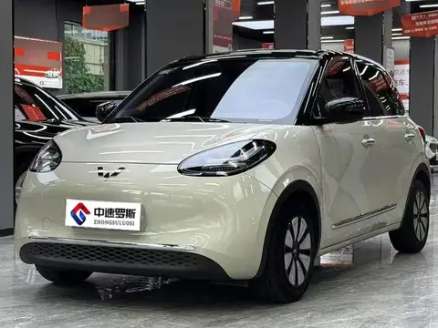Wuling Bingo 2023 203km Light Edition