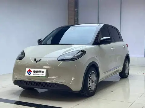 Wuling Bingo 2023 333km Lingxi Internet Model