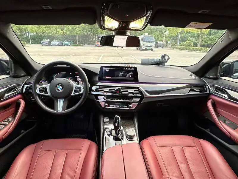 BMW 5 Series 2020 530Li Premium M Sport Package — 6
