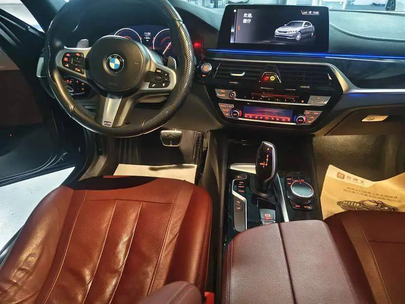 BMW 5 Series 2019 530Li Premium M Sport Package — 4