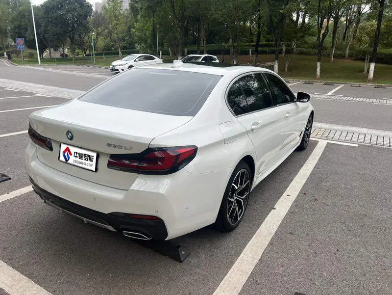 BMW 5 Series 2021 530Li Premium M Sport Package — 6