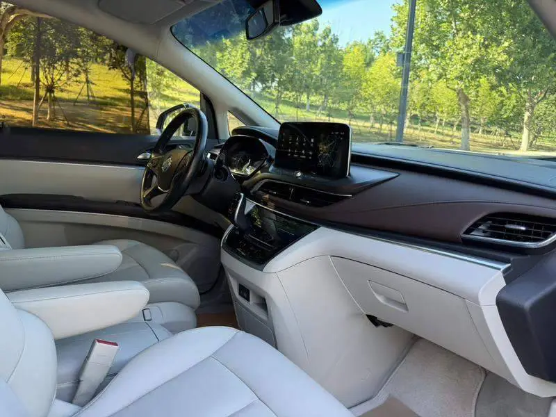 Buick GL8 2020 Land Business Class 652T Luxury — 11