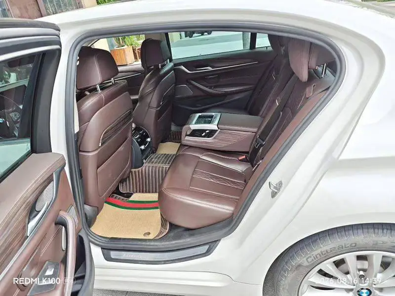 BMW 5 Series 2020 530Li Premium Luxury Package — 9