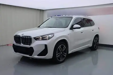 BMW X1 2023 sDrive25Li M Sport Package