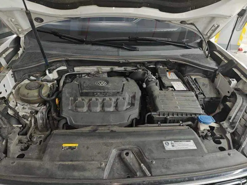 Tanyue 2019 330TSI 2WD Luxury National VI — 6