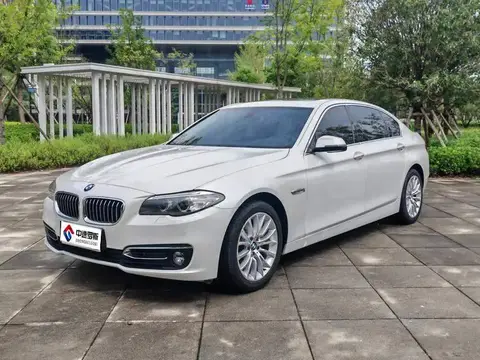 BMW 5 Series 2014 525Li Luxury Design Package