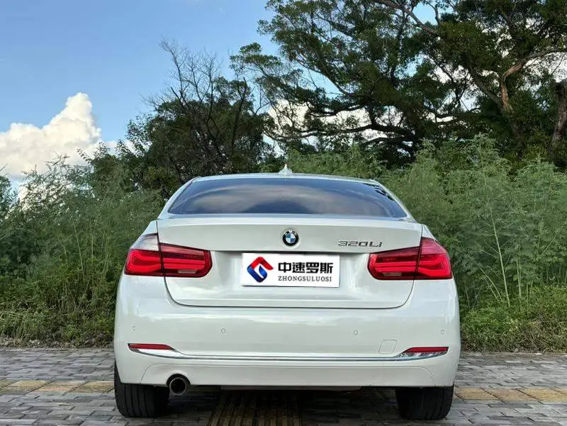 BMW 3 Series 2016 320Li Progressive Edition — 6