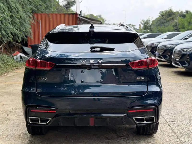 Wei brand VV7 2020 2.0T Flagship — 5