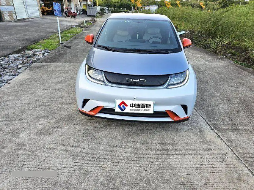 dolphin 2021 405km Freedom Edition — 2
