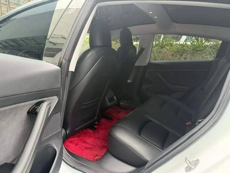 Model 3 2020 Standard Range RWD Upgraded Version — 9
