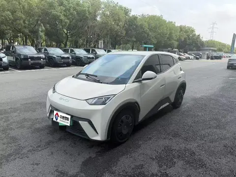 Seagull 2024 Glory Edition 305km Vitality Edition
