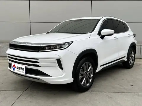Star Chasing 2022 Riding the Wind and Waves Edition 1.5T CVT Good Things Peanut Edition
